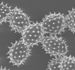 Cosmos Daisy Pollen