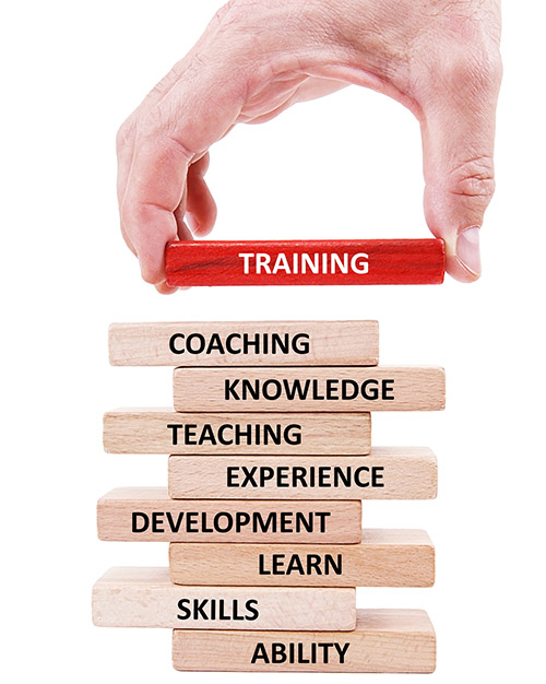 hand placing a wooden block that says training on top of other wooden blocks that say coaching, knowledge, teaching, experience, development, learn, skills and ability
