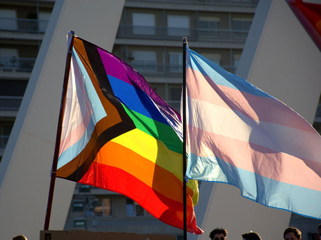 Transgender flag