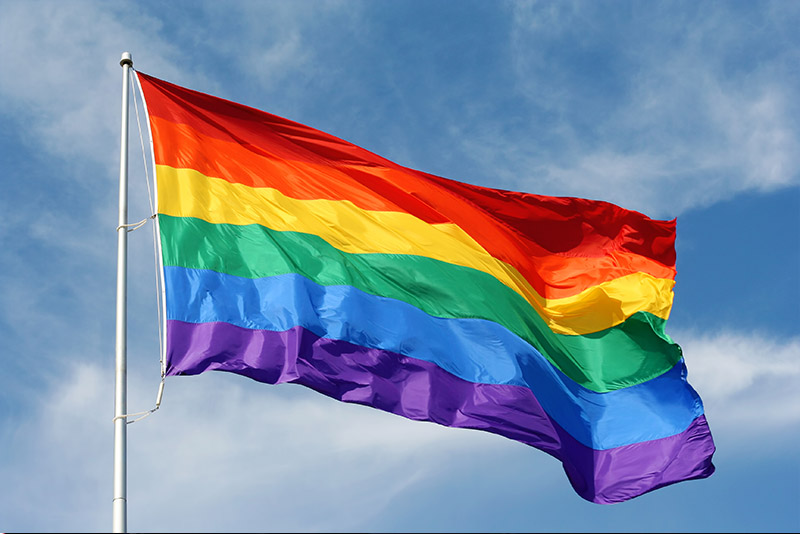 Equality/rainbow flag