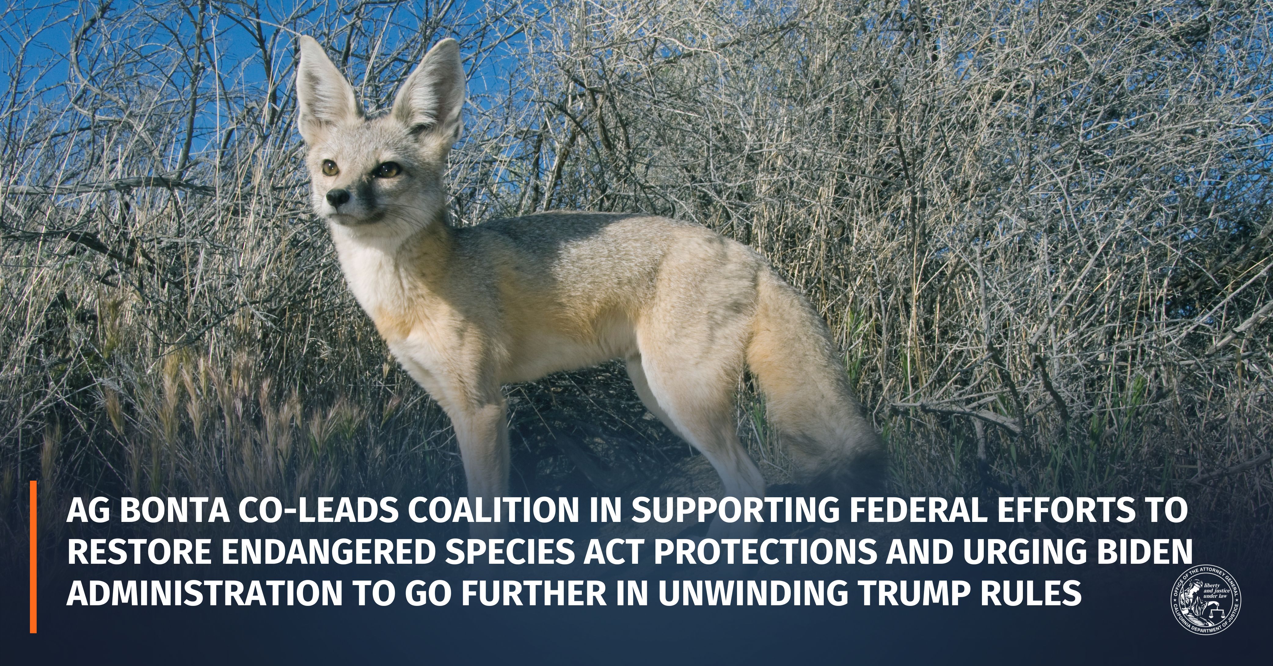 Attorney General Bonta Co-Leads Coalition in Supporting Federal Efforts to Restore  Endangered Species Act Protections and Urging Biden Administration to Go  Further in Unwinding Trump Rules
