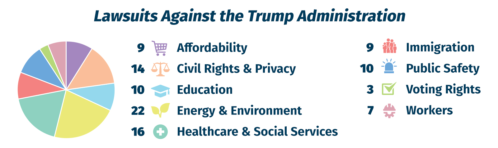 Federal Lawsuits Webpage Chart